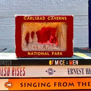 VTG Carlsbad Caverns National Park Mini Scene